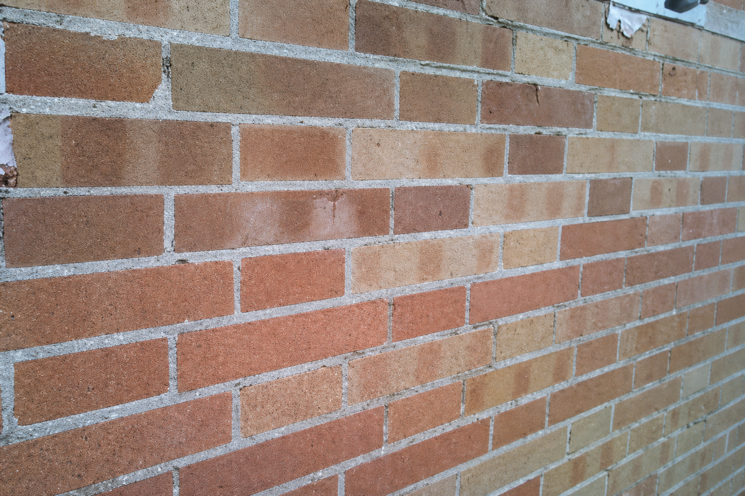 Pared de ladrillo rectificada (detalle)